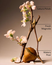 Forever Cherry Blossom Fine Fragrance Mist
