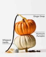 Sweet Cinnamon Pumpkin Fine Fragrance Mist