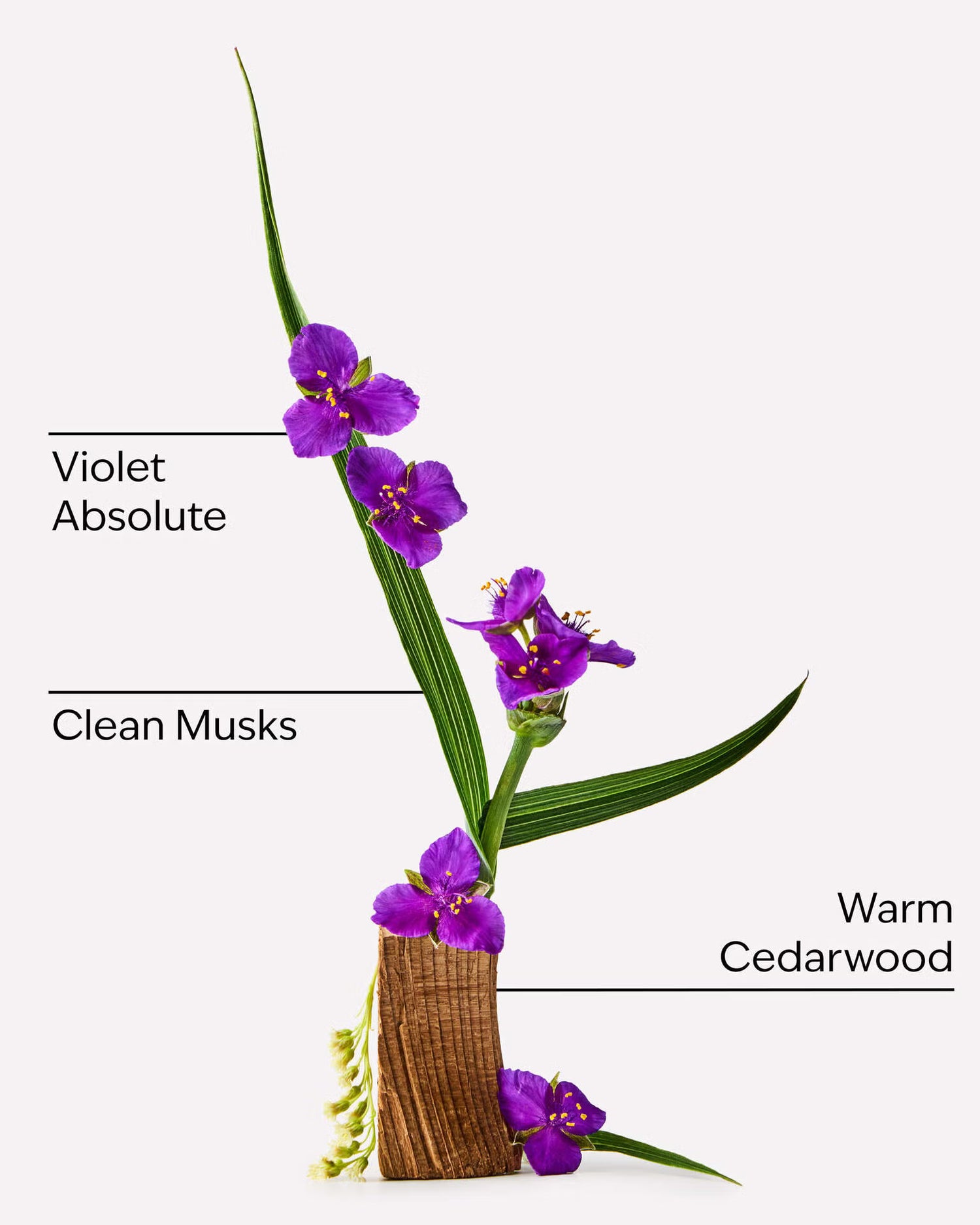 [Pre Order: ETA 4-8 Weeks] Very Violet Fine Fragrance Mist