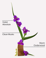 [Pre Order: ETA 4-8 Weeks] Very Violet Fine Fragrance Mist