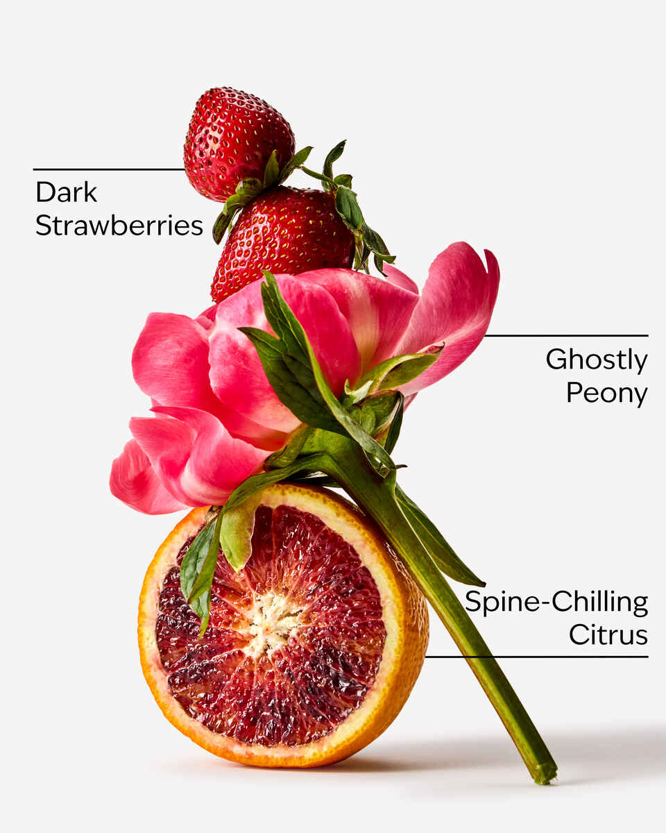 Ghoul Friend Fine Fragrance Mist
