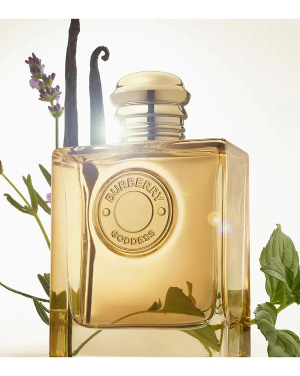 B U R B E R R Y Beauty Goddess Eau De Parfum Intense (Size:100ml)