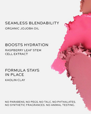 Westman Atelier Baby Cheeks Lip + Cheek Cream Blush Stick