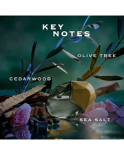 Orebella SALTED MUSE Parfum