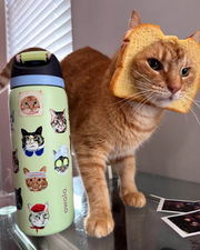 Owala UO Exclusive FreeSip 32 oz Water Bottle