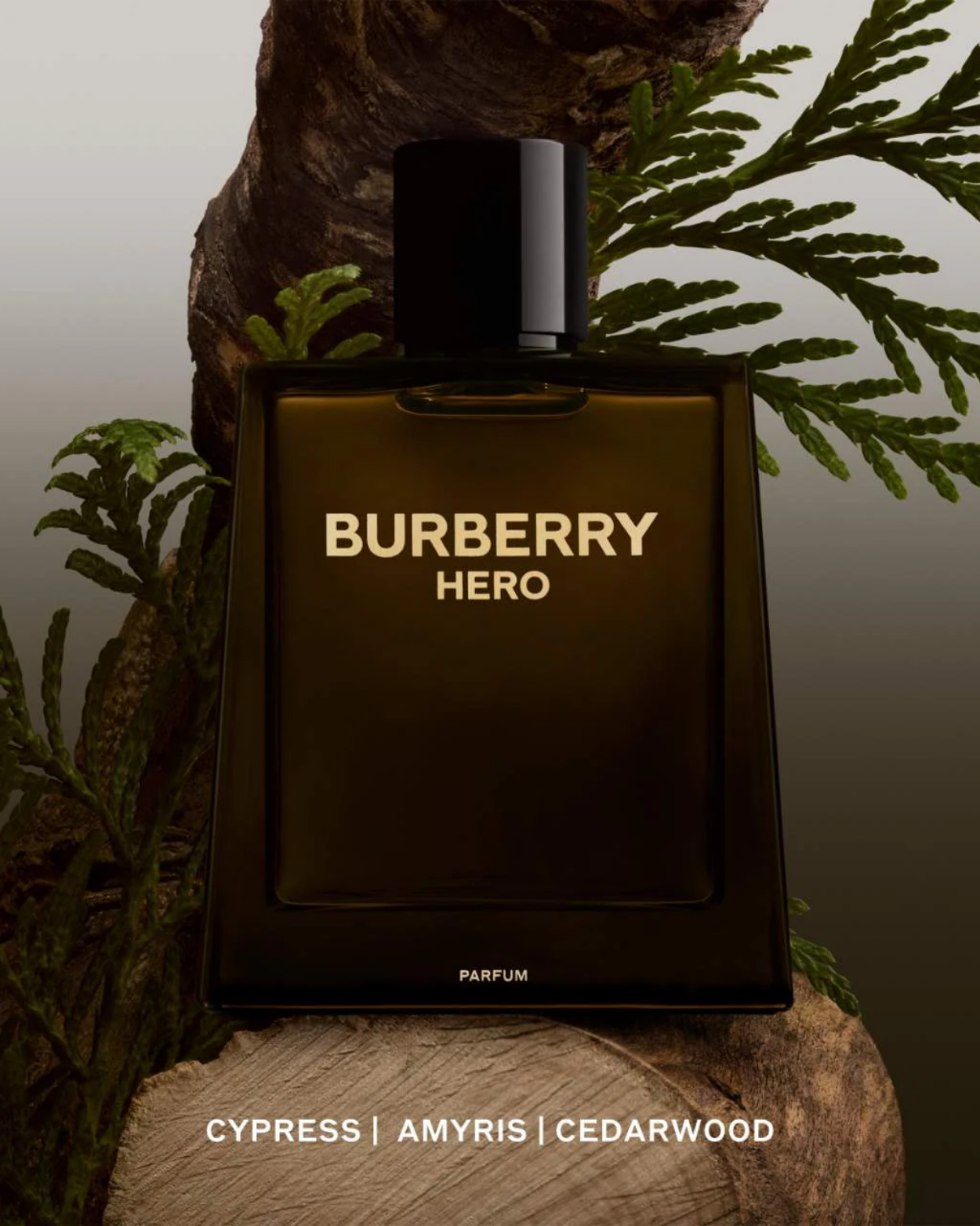 BURBERRY Hero Eau de Parfum with Pine & Cedarwood (Size: 100ML)