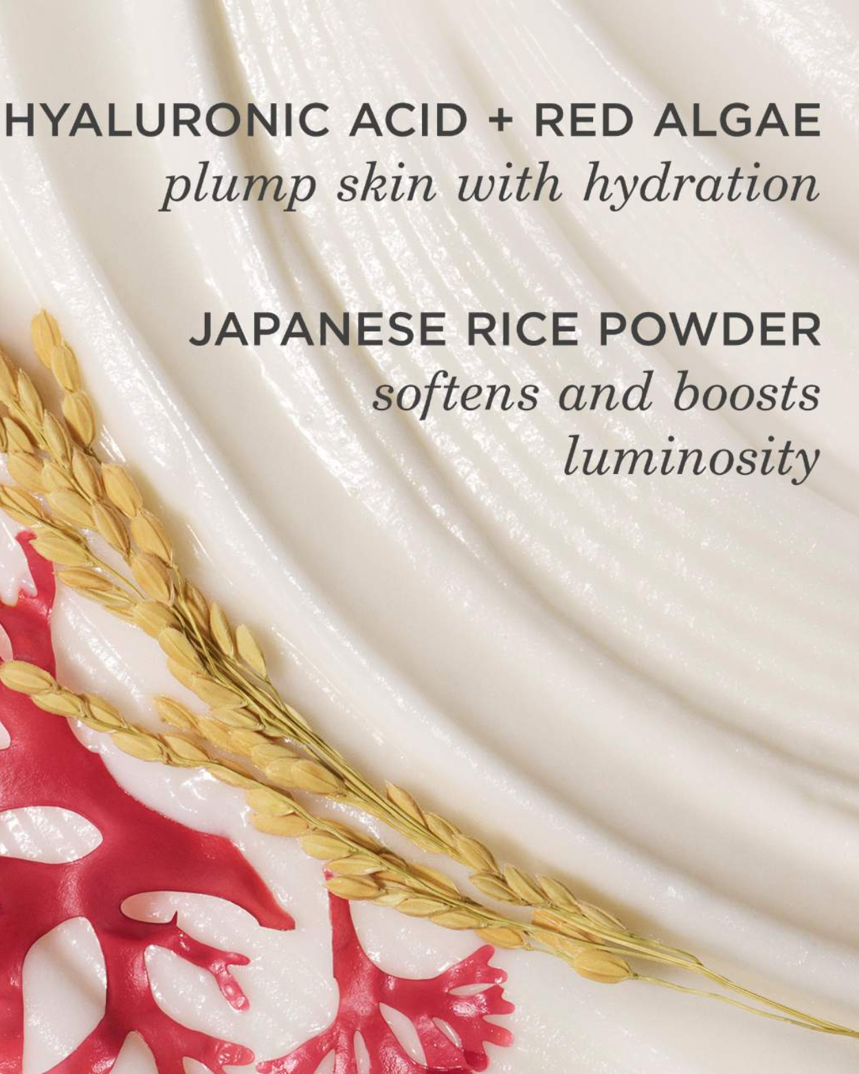 Tatcha  The Rice Wash Skin-Softening Cleanser (Size 120ml)