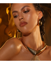 Natasha Denona Golden Eyeshadow • 18.9g