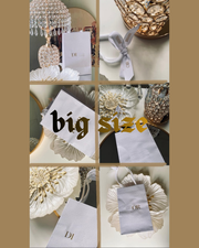 D O O R PAPER BAG (WHITE COLOUR)