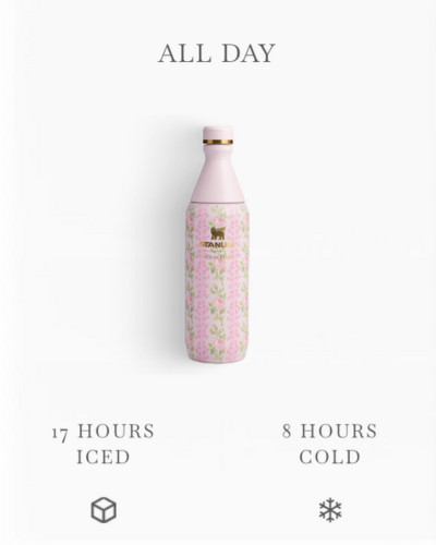 THE STANLEY X LOVESHACKFANCY ALL DAY SLIM BOTTLE | 20 OZ