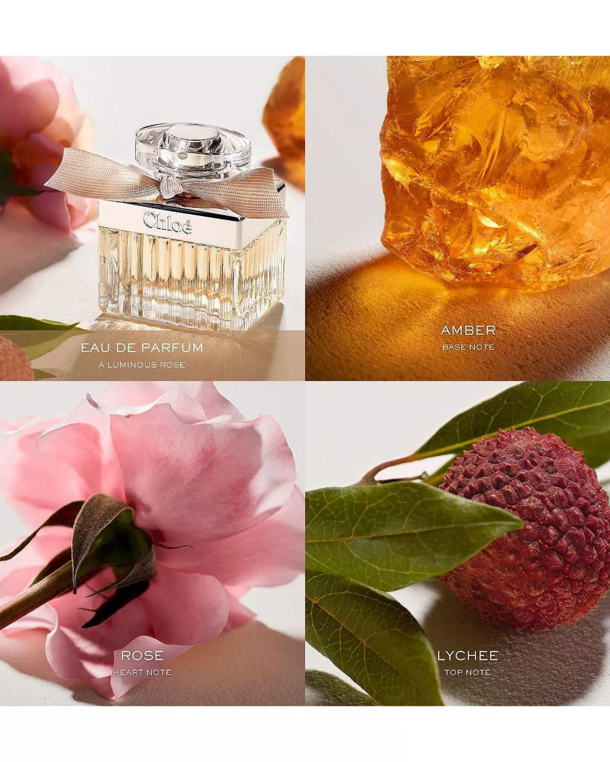 Chloe Chloe Eau de Parfum with Rose & Amber